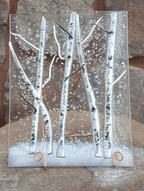 Winter aspen trees in snow 5X7